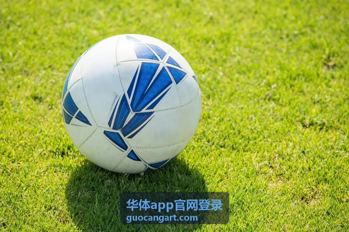 华体app官网登录入口页面操作示意