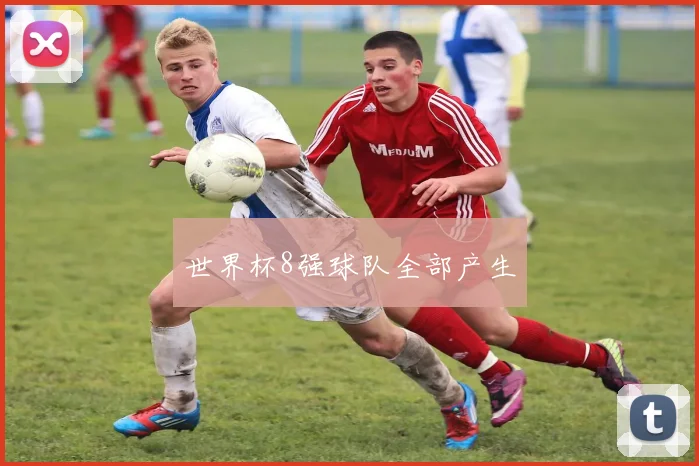 世界杯8强球队全部产生