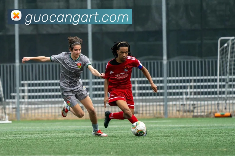 pg官方网站发展历程